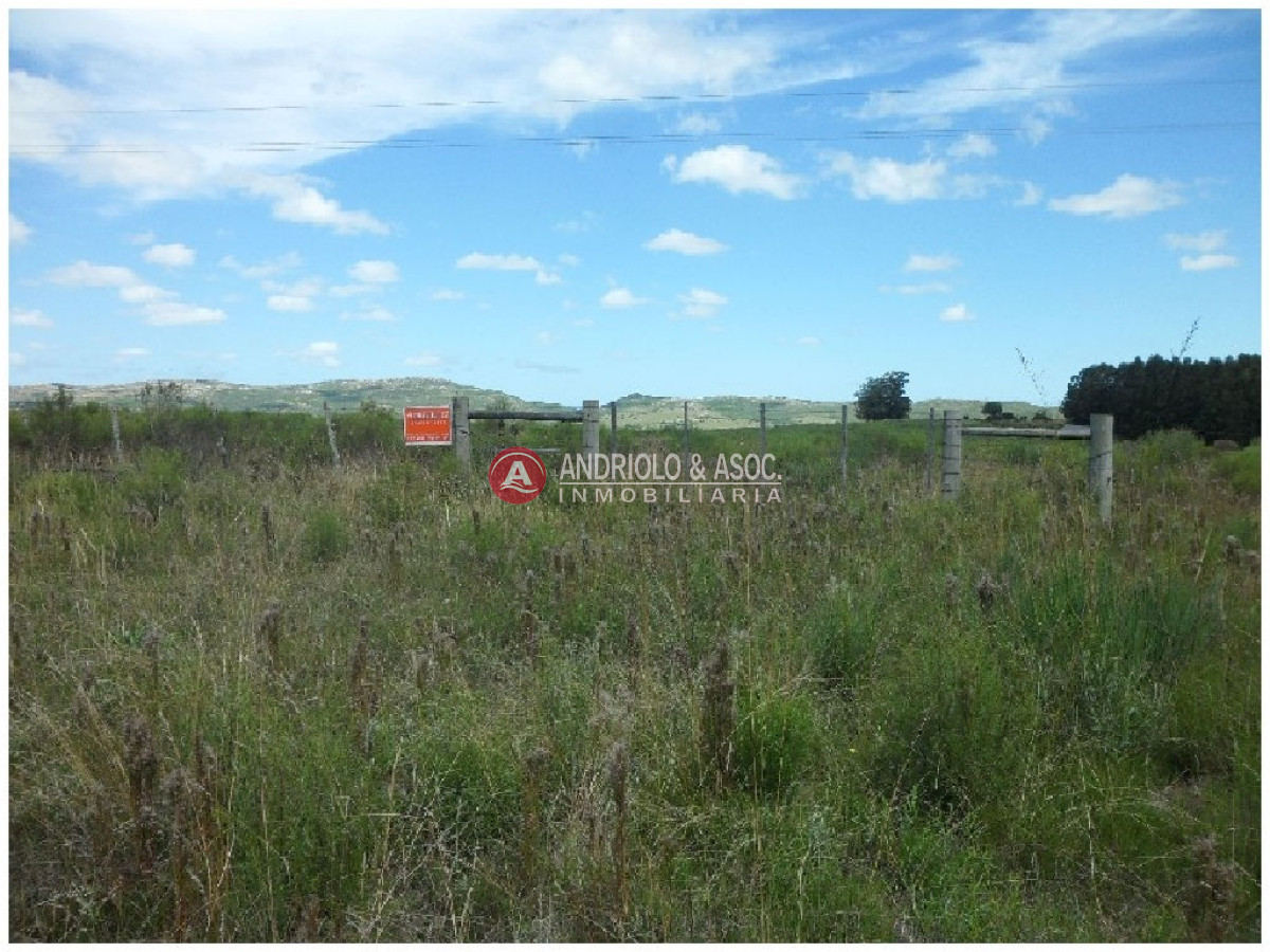Campo Ref.6233 - Campo en Punta del Este, 