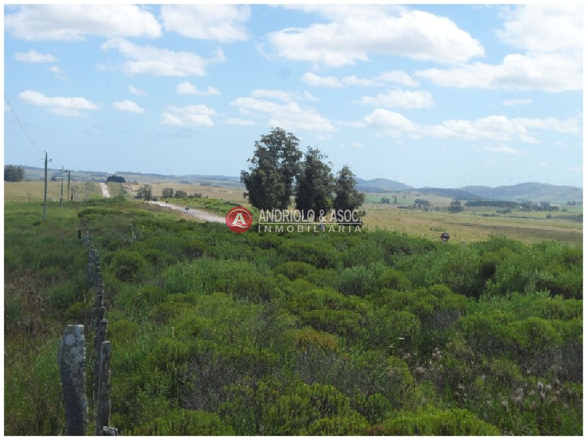 Campo Ref.6233 - Campo en Punta del Este, 
