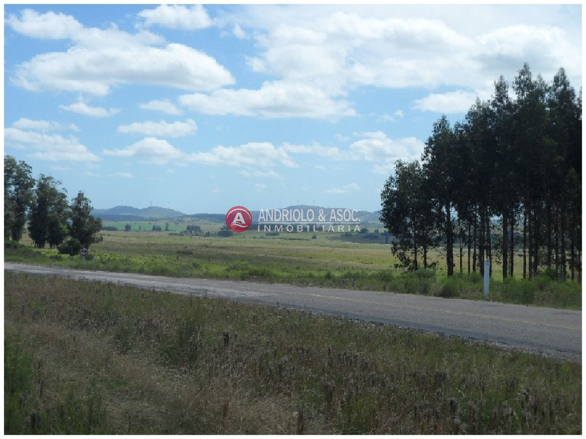 Campo Ref.6233 - Campo en Punta del Este, 