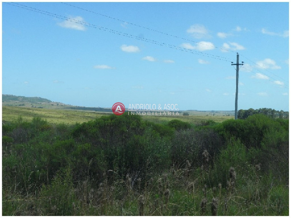 Campo Ref.6233 - Campo en Punta del Este, 