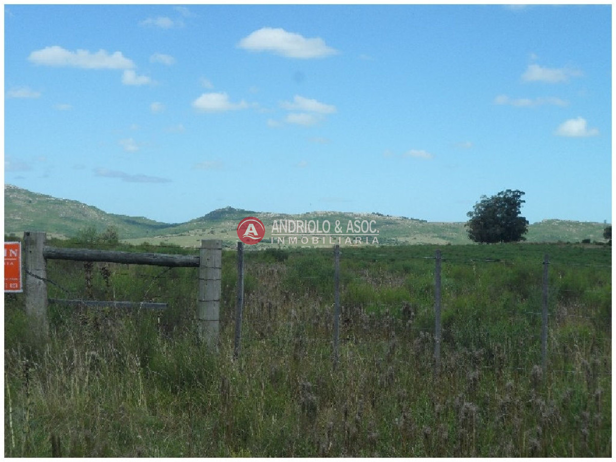 Campo Ref.6233 - Campo en Punta del Este, 