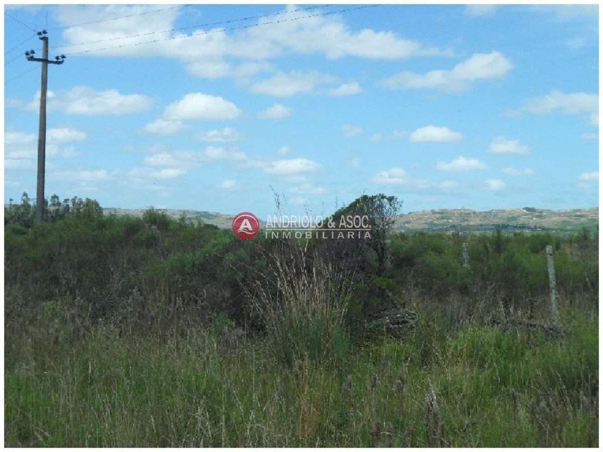 Campo Ref.6233 - Campo en Punta del Este, 
