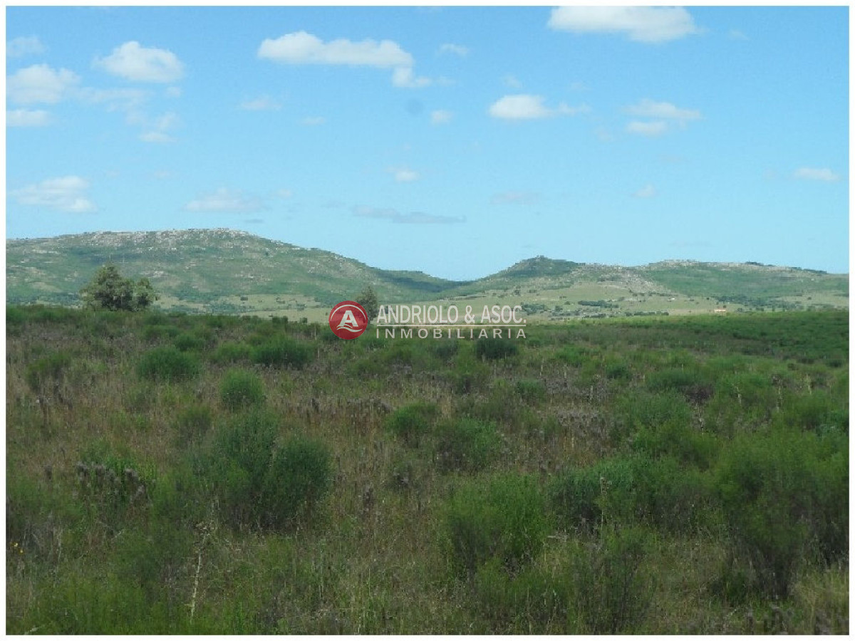 Campo Ref.6233 - Campo en Punta del Este, 