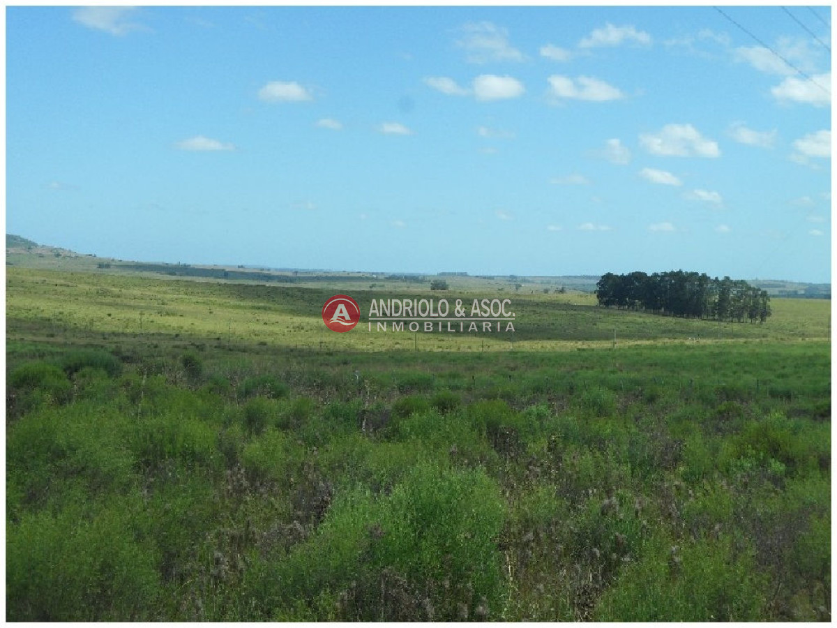 Campo Ref.6233 - Campo en Punta del Este, 