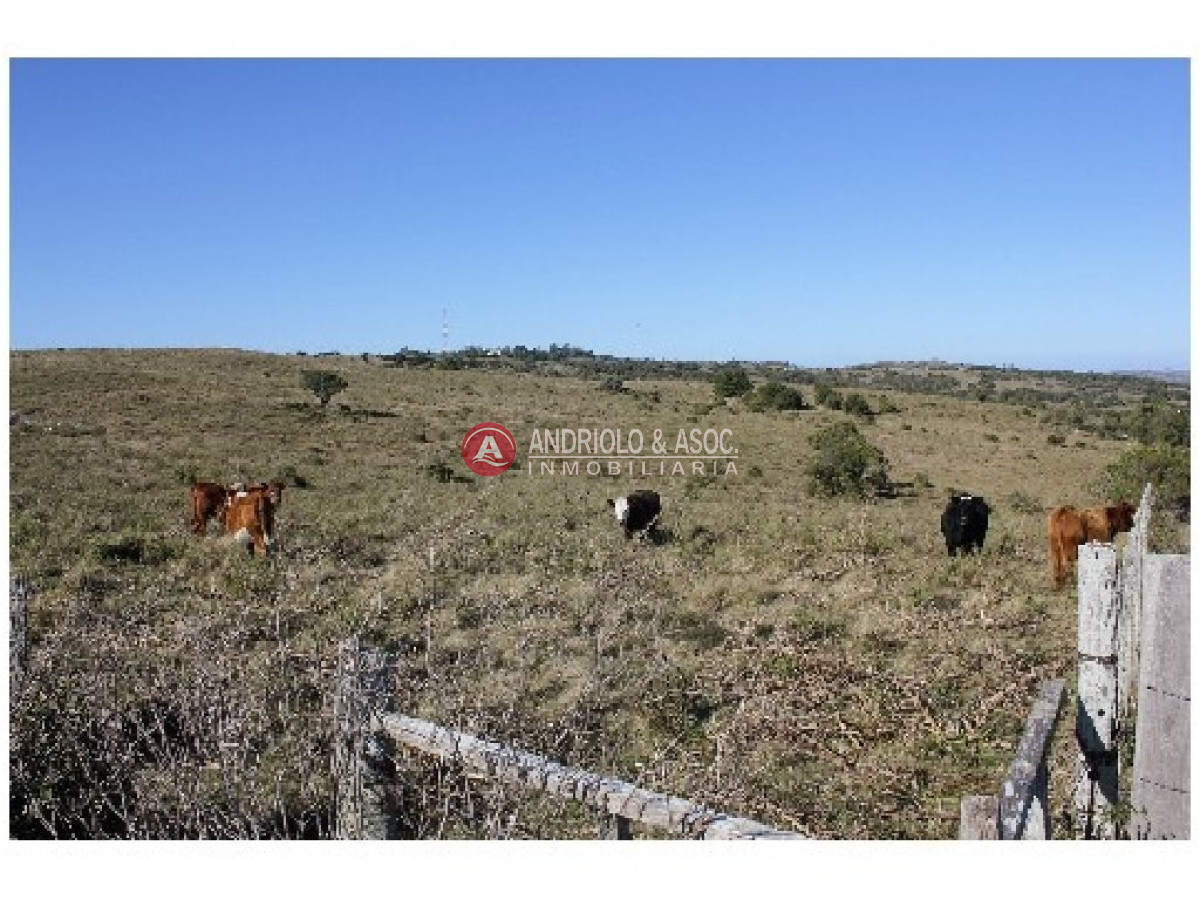 Campo Ref.6234 - Campo en Punta del Este, 