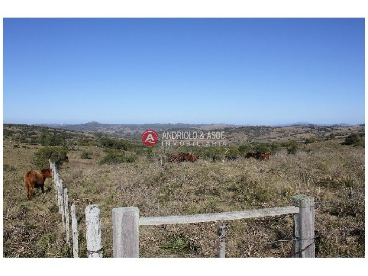 Campo Ref.6234 - Campo en Punta del Este, 