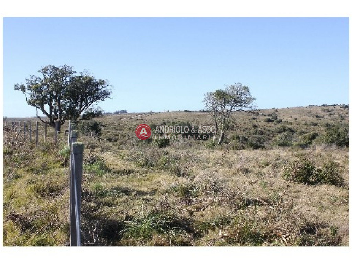 Campo Ref.6234 - Campo en Punta del Este, 