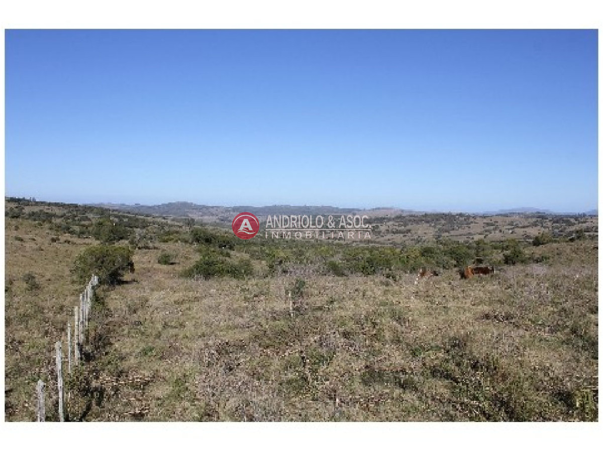 Campo Ref.6234 - Campo en Punta del Este, 