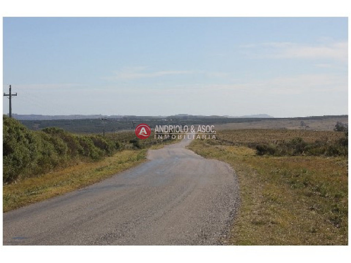 Campo Ref.6234 - Campo en Punta del Este, 