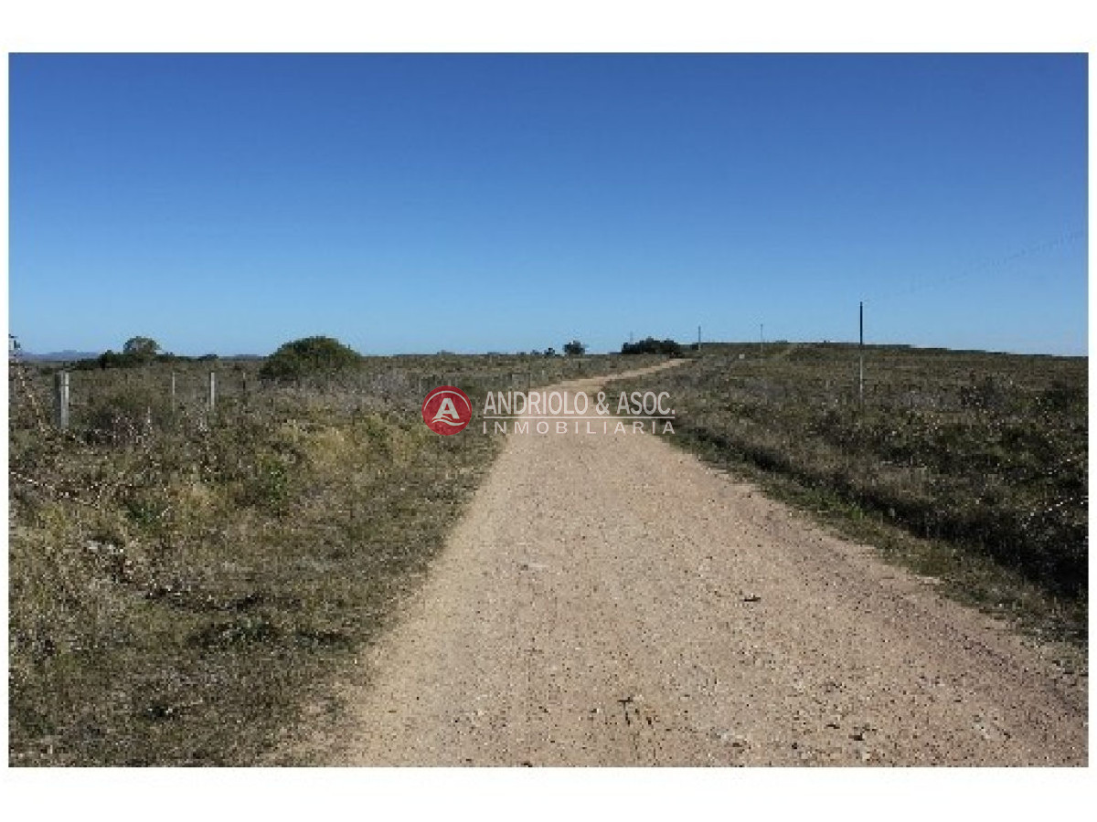 Campo Ref.6234 - Campo en Punta del Este, 