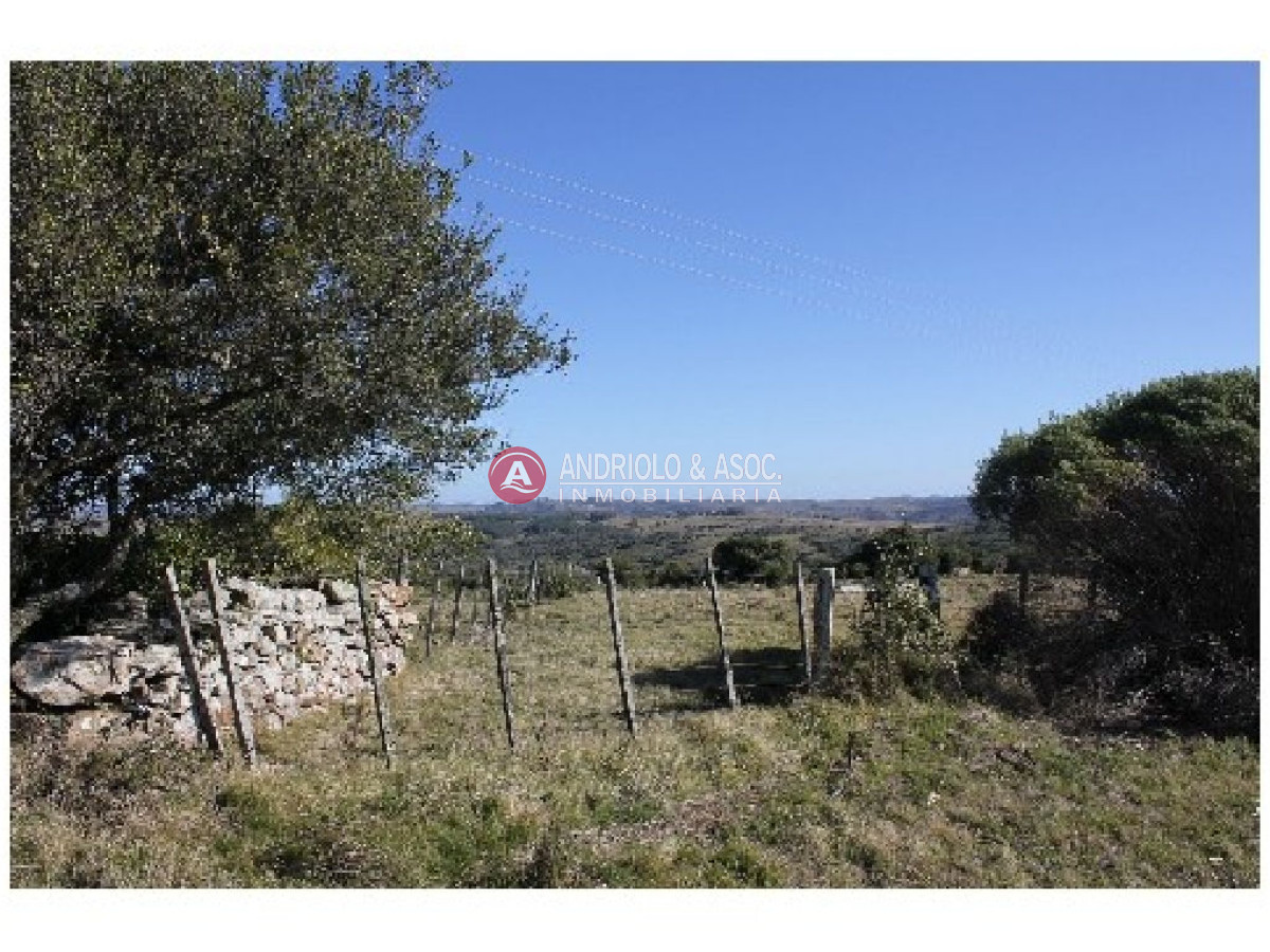 Campo Ref.6234 - Campo en Punta del Este, 