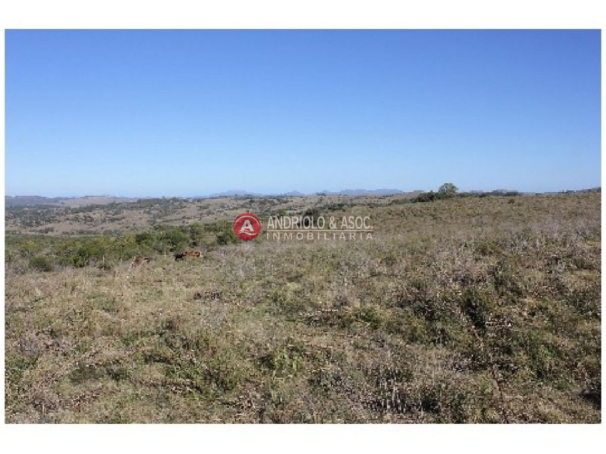 Campo Ref.6234 - Campo en Punta del Este, 