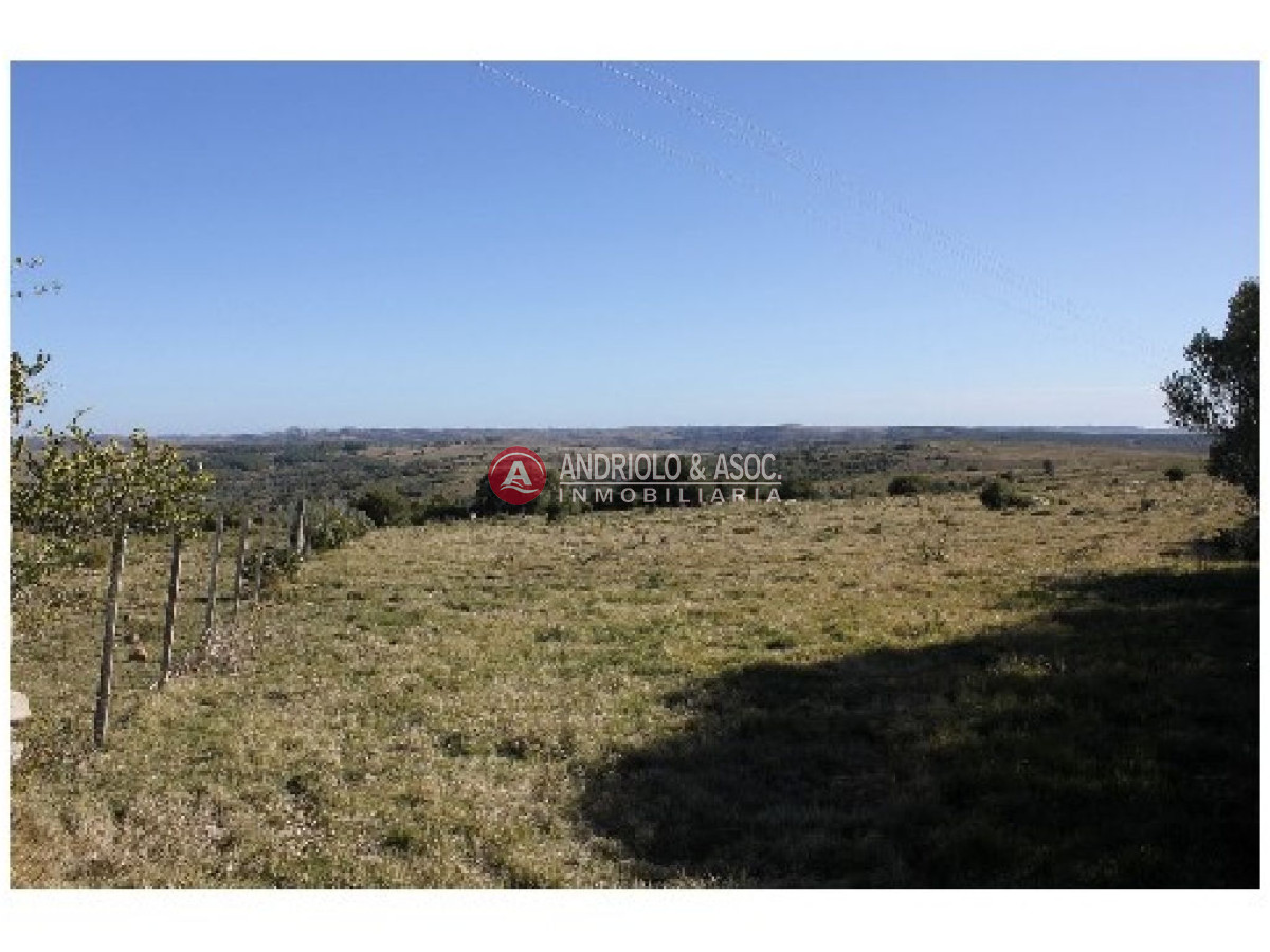 Campo Ref.6234 - Campo en Punta del Este, 