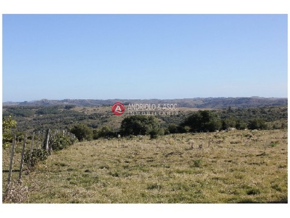 Campo Ref.6234 - Campo en Punta del Este, 