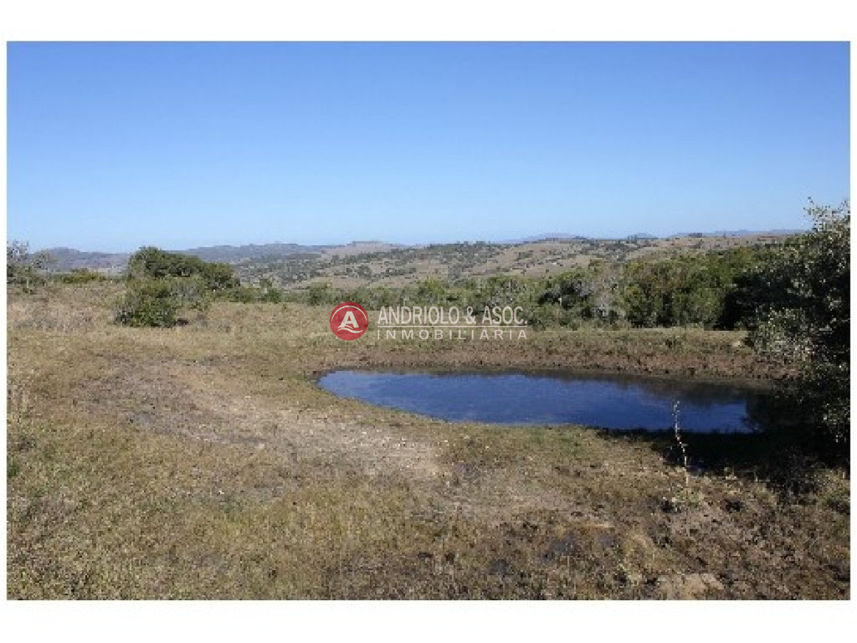 Campo Ref.6234 - Campo en Punta del Este, 