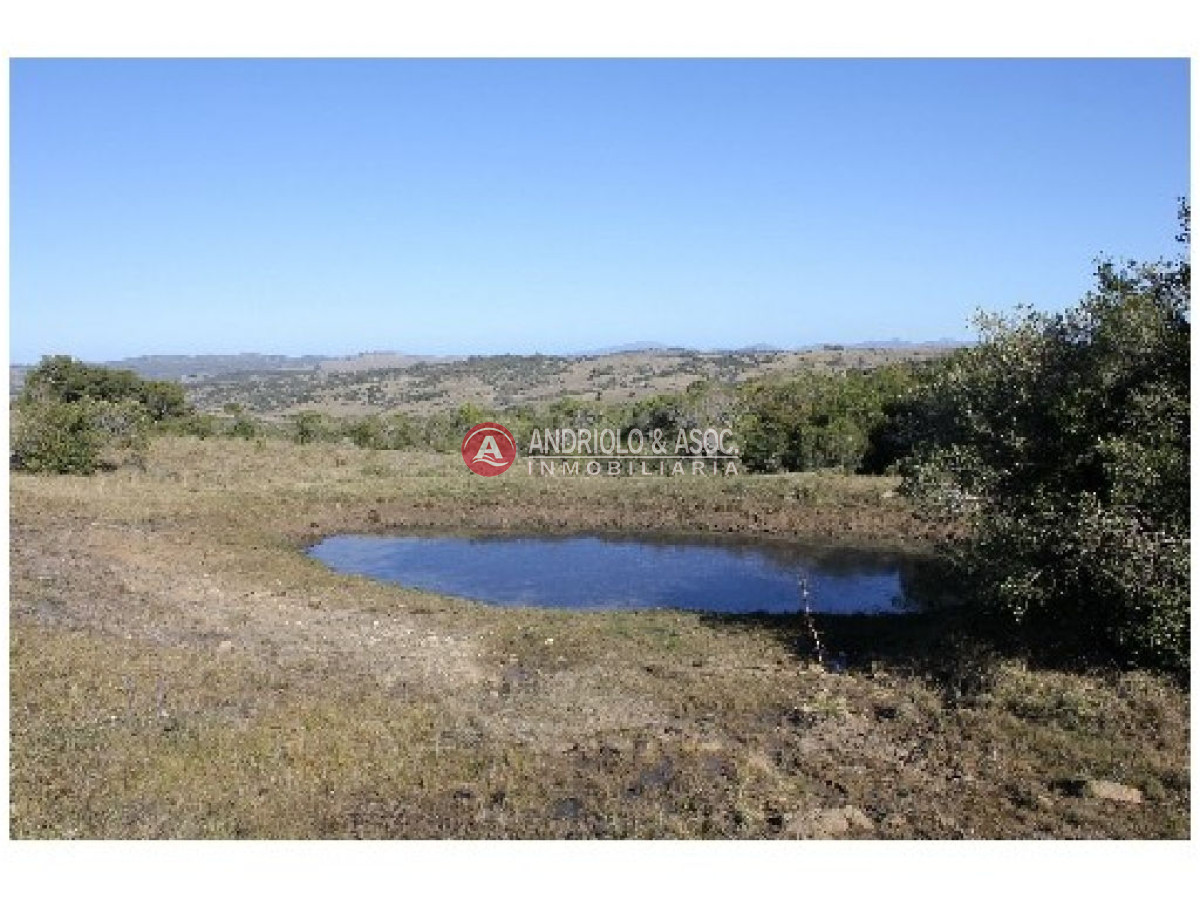 Campo Ref.6234 - Campo en Punta del Este, 