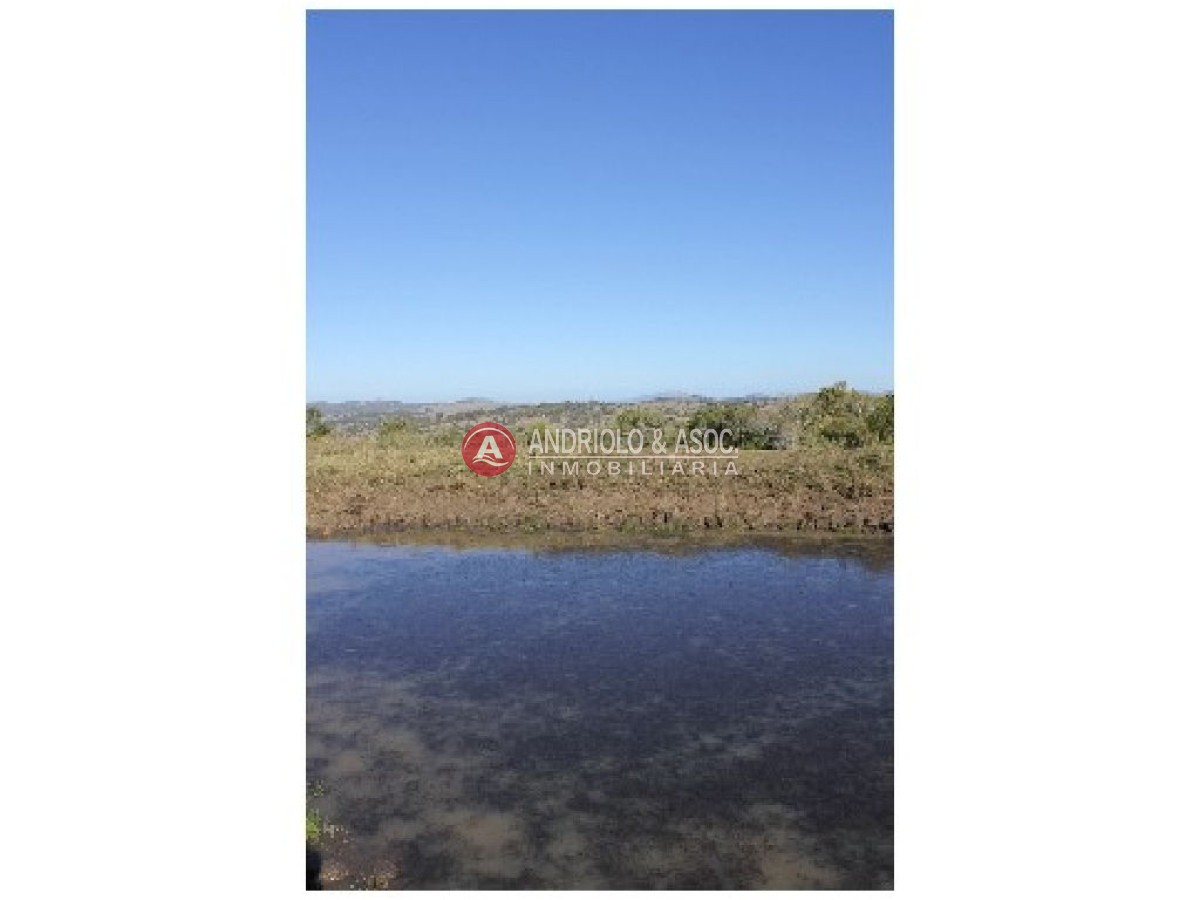 Campo Ref.6234 - Campo en Punta del Este, 