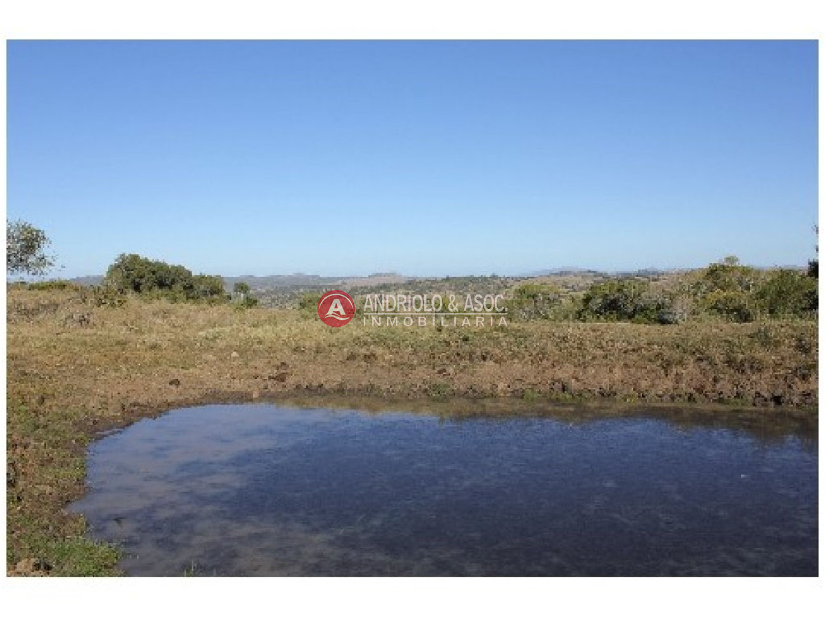 Campo Ref.6234 - Campo en Punta del Este, 