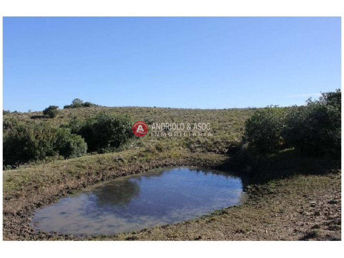 Campo Ref.6234 - Campo en Punta del Este, 