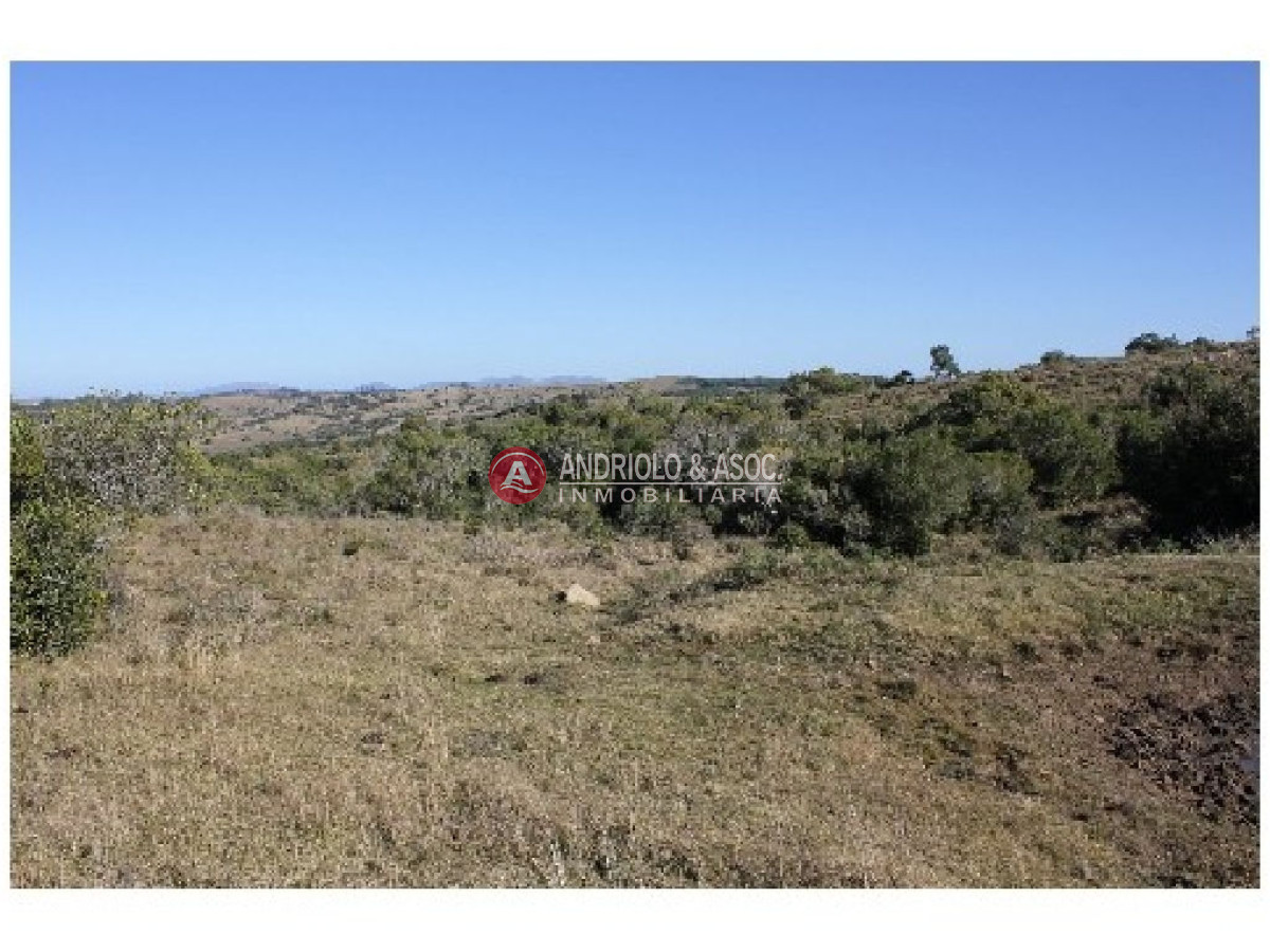 Campo Ref.6234 - Campo en Punta del Este, 
