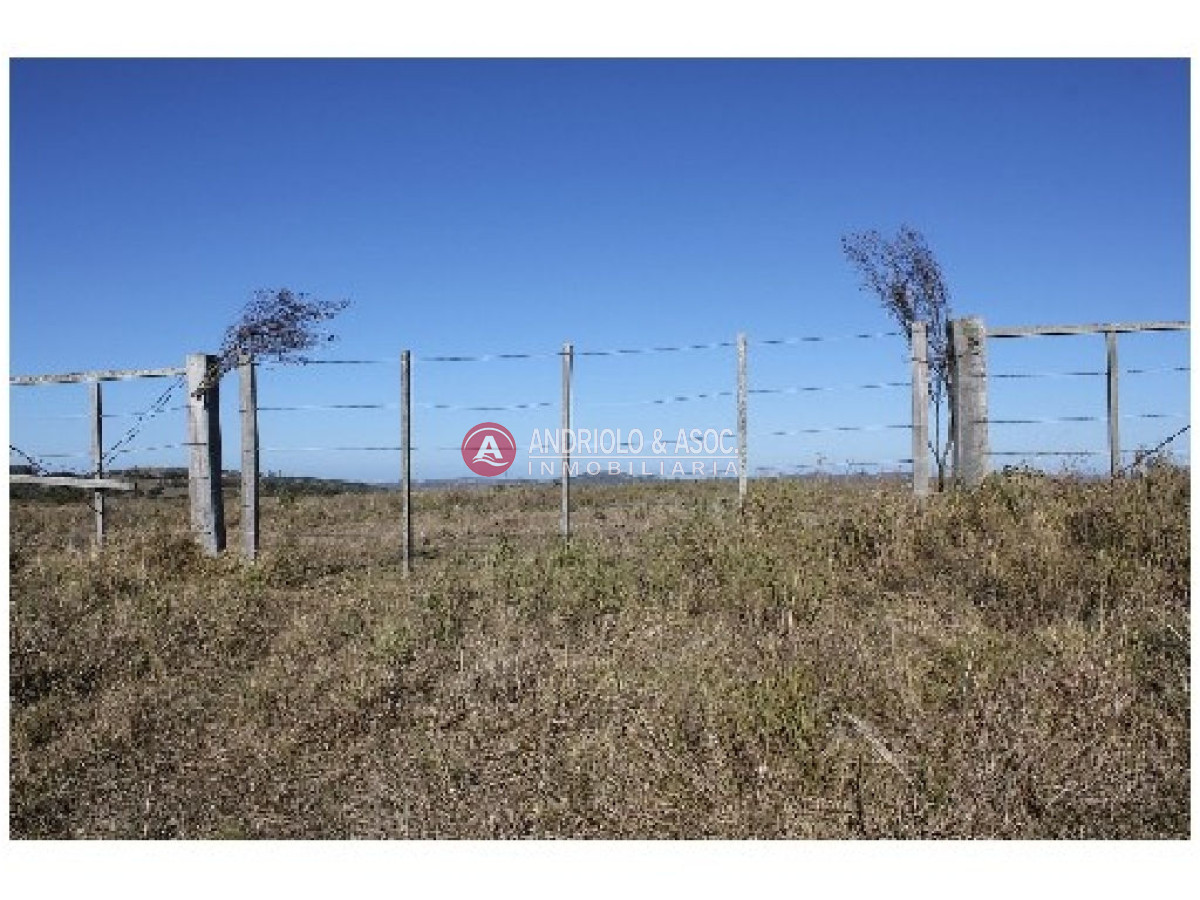 Campo Ref.6234 - Campo en Punta del Este, 