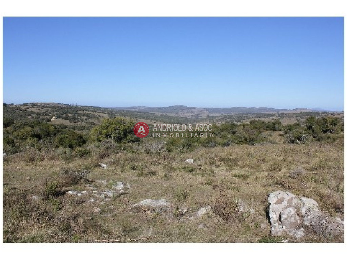 Campo Ref.6234 - Campo en Punta del Este, 