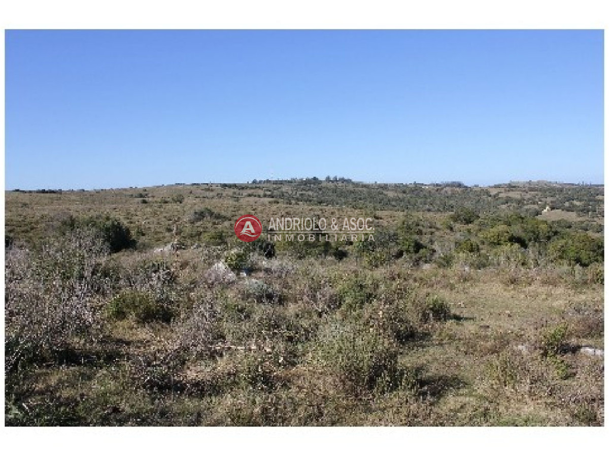 Campo Ref.6234 - Campo en Punta del Este, 