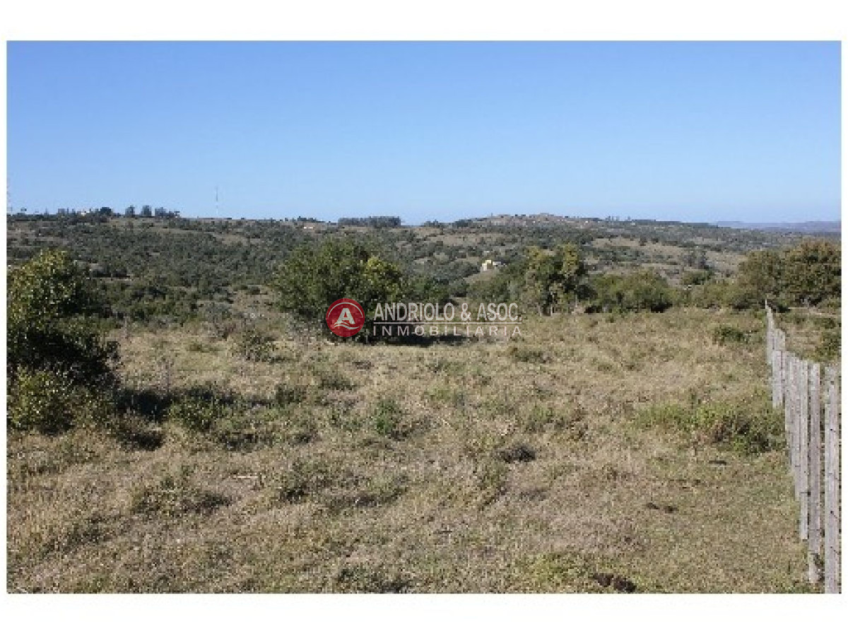 Campo Ref.6234 - Campo en Punta del Este, 