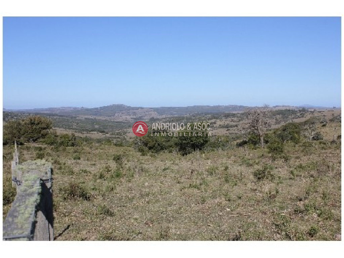 Campo Ref.6234 - Campo en Punta del Este, 