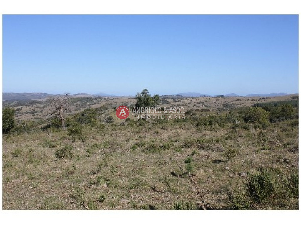 Campo Ref.6234 - Campo en Punta del Este, 