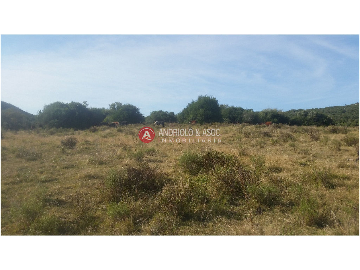 Campo Ref.6235 - Campo en Punta del Este, 