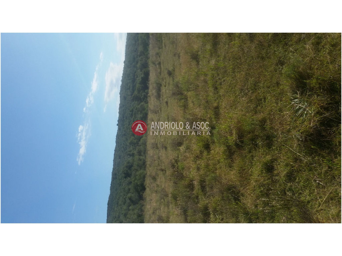 Campo Ref.6235 - Campo en Punta del Este, 