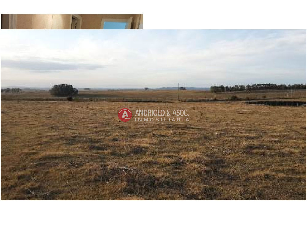 Campo Ref.6236 - Campo en Punta del Este, 