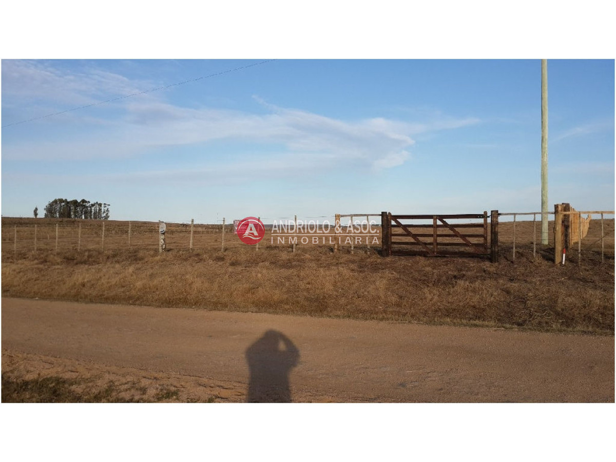 Campo Ref.6236 - Campo en Punta del Este, 