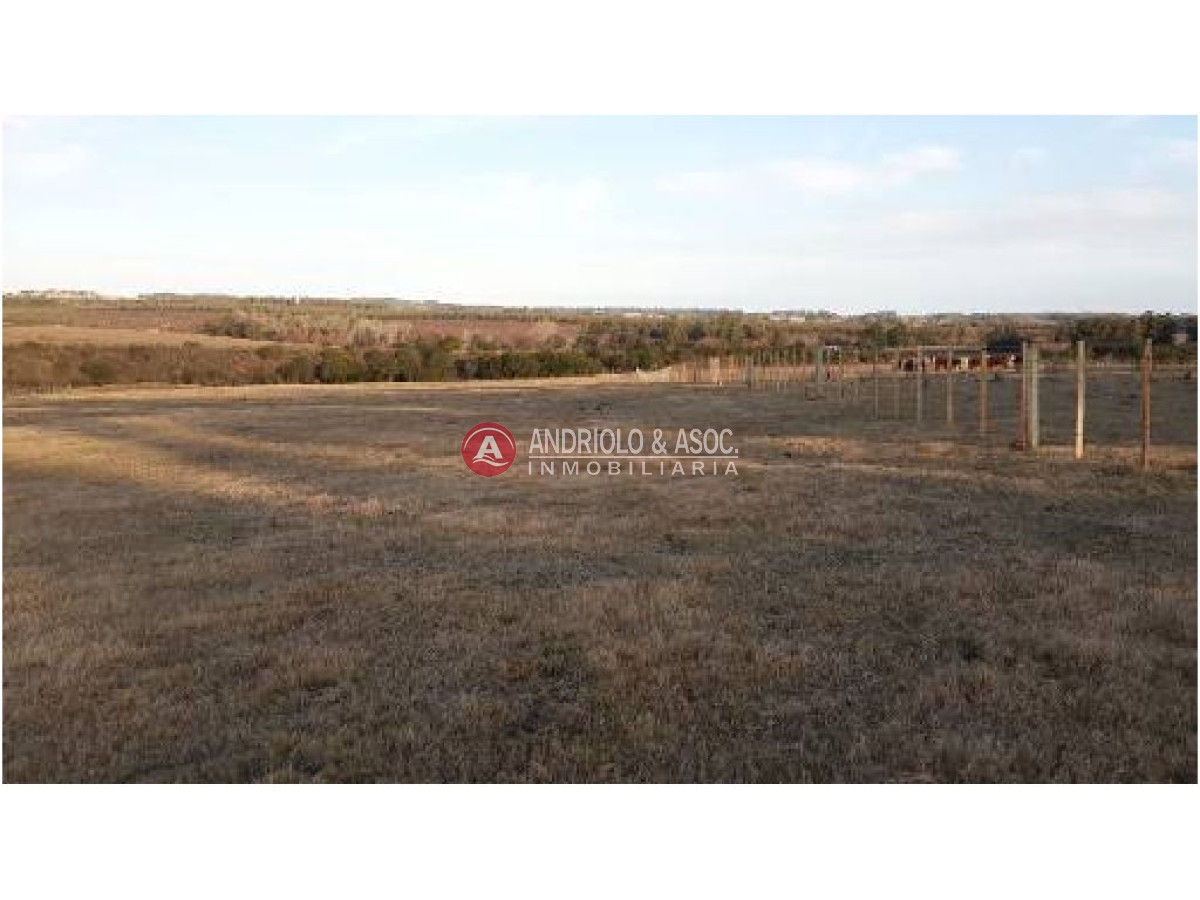 Campo Ref.6236 - Campo en Punta del Este, 