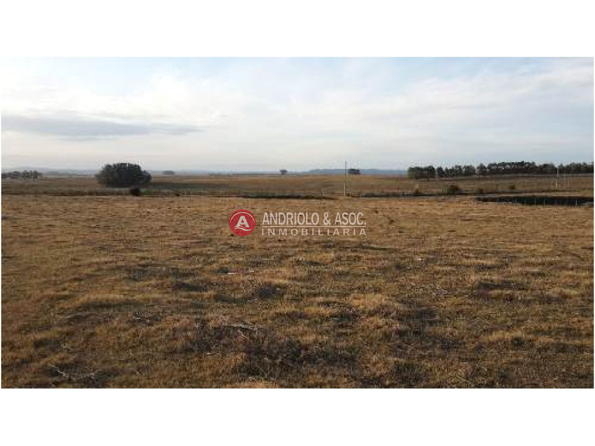 Campo Ref.6236 - Campo en Punta del Este, 