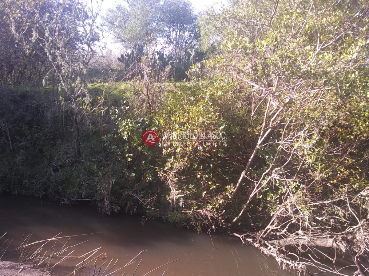 Campo Ref.6542 - chacra con fácil acceso sobre ruta 39