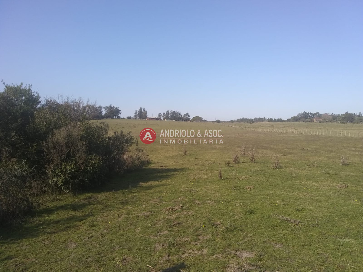 Campo Ref.6542 - chacra con fácil acceso sobre ruta 39