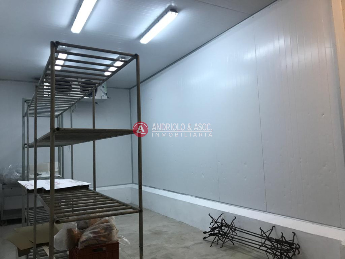 Local Comercial ID.8529 - Gran galpón 