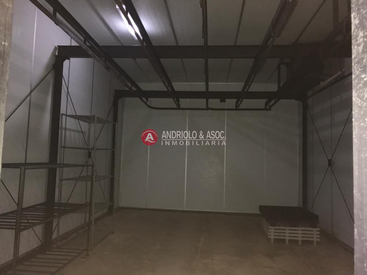Local Comercial ID.8529 - Gran galpón 