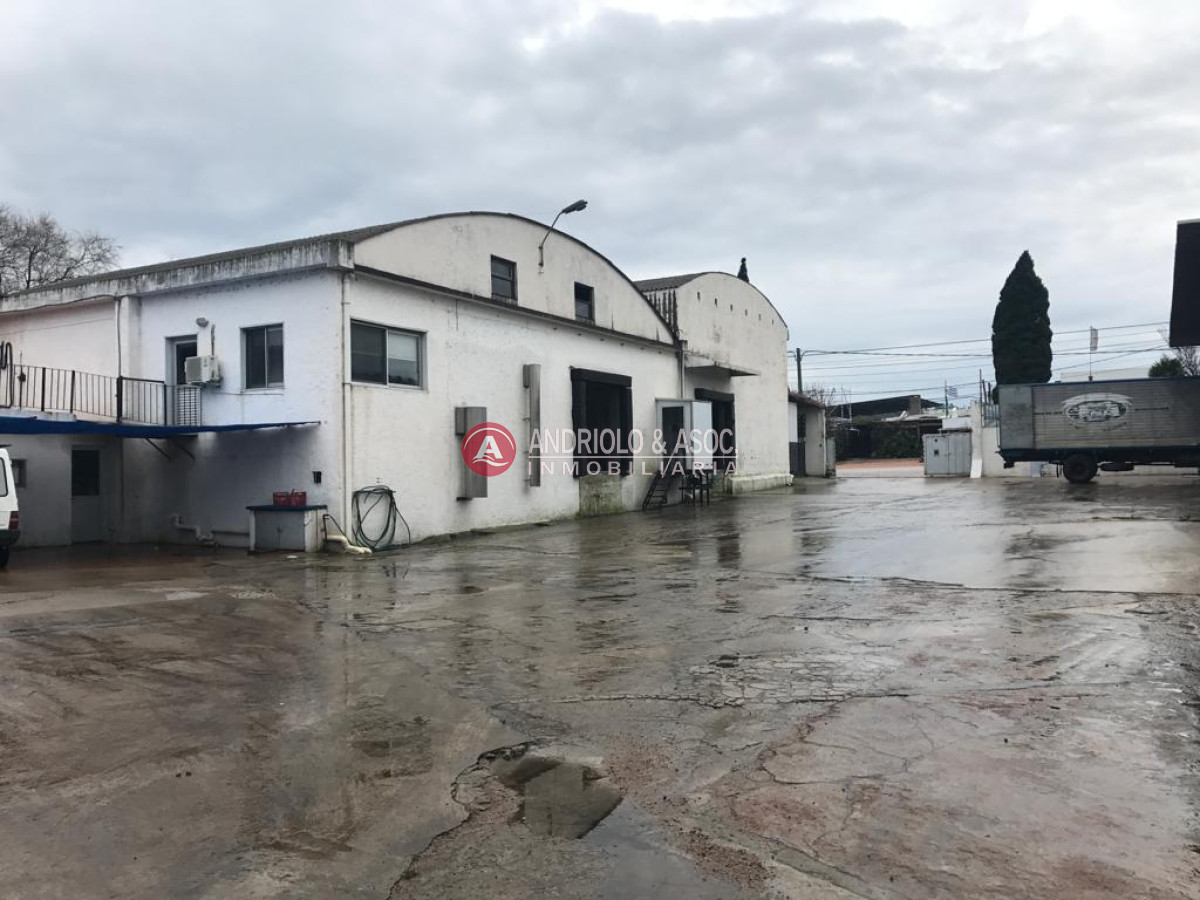 Local Comercial ID.8529 - Gran galpón 