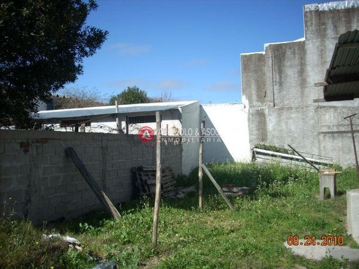 Local Comercial ID.6088 - Local en Maldonado, Centro Maldonado