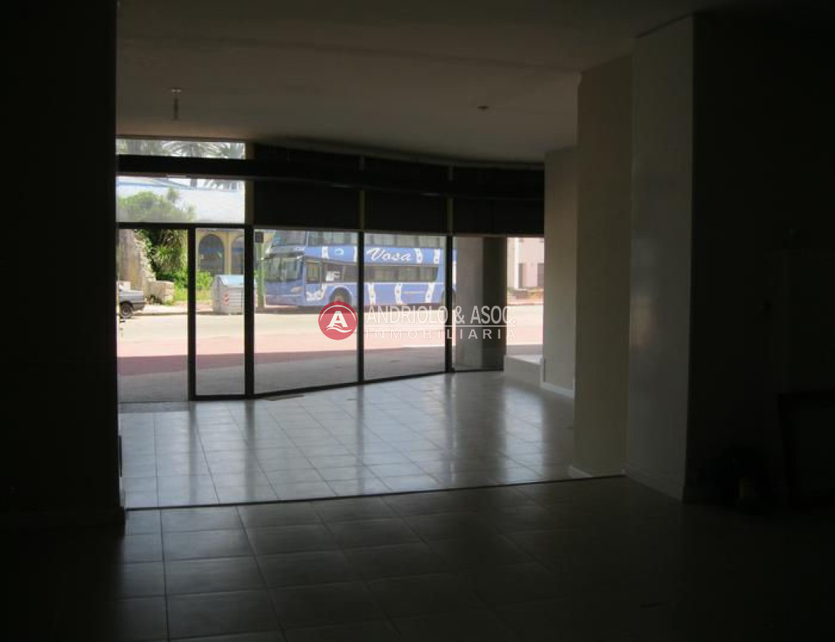 Local Comercial ID.6139 - Local en Punta del Este, Península