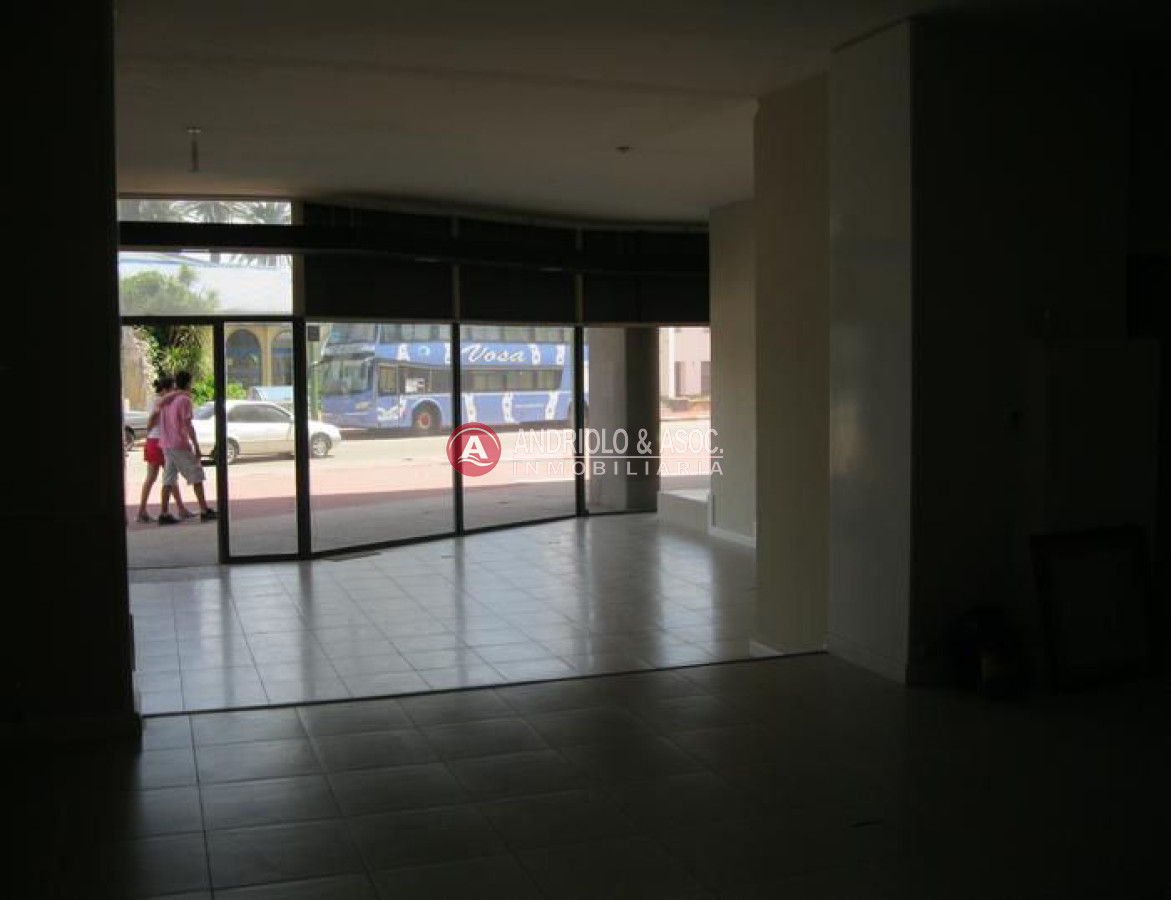 Local Comercial ID.6139 - Local en Punta del Este, Península