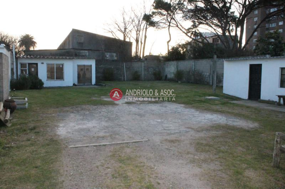 Local Comercial ID.6145 - Local en Maldonado, Centro Maldonado