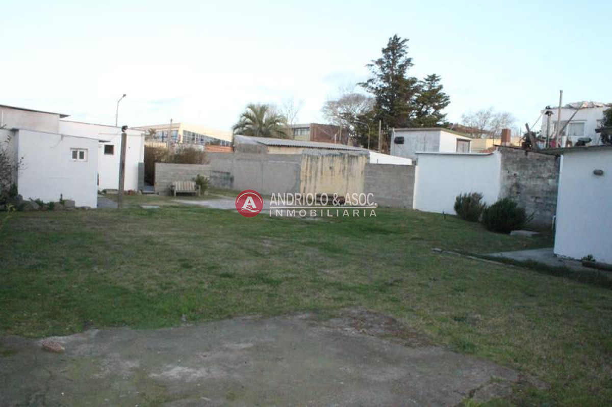 Local Comercial ID.6145 - Local en Maldonado, Centro Maldonado