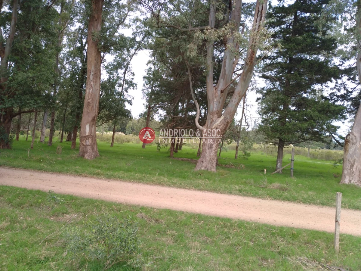 Terreno ID.6521 - oportunidad en polo club country de ruta 10 kilómetro 172