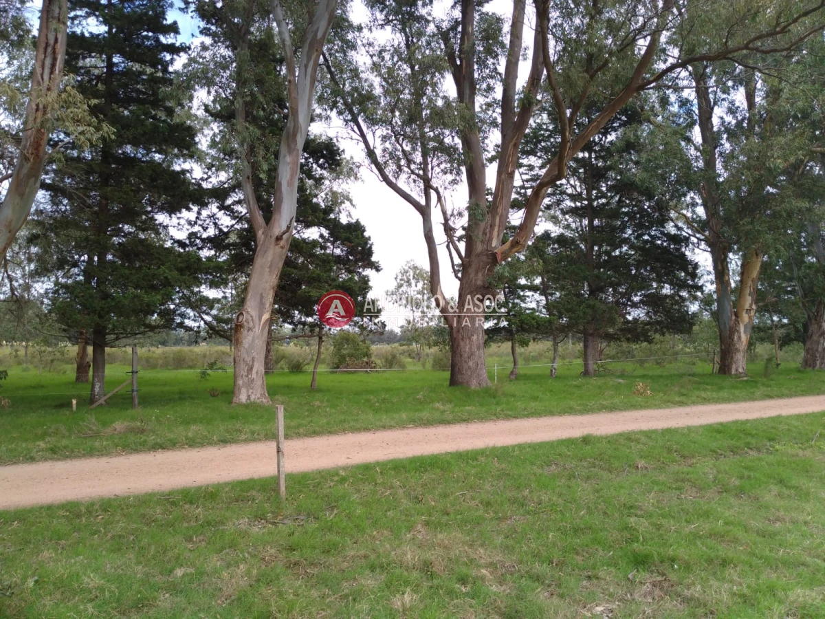 Terreno ID.6521 - oportunidad en polo club country de ruta 10 kilómetro 172