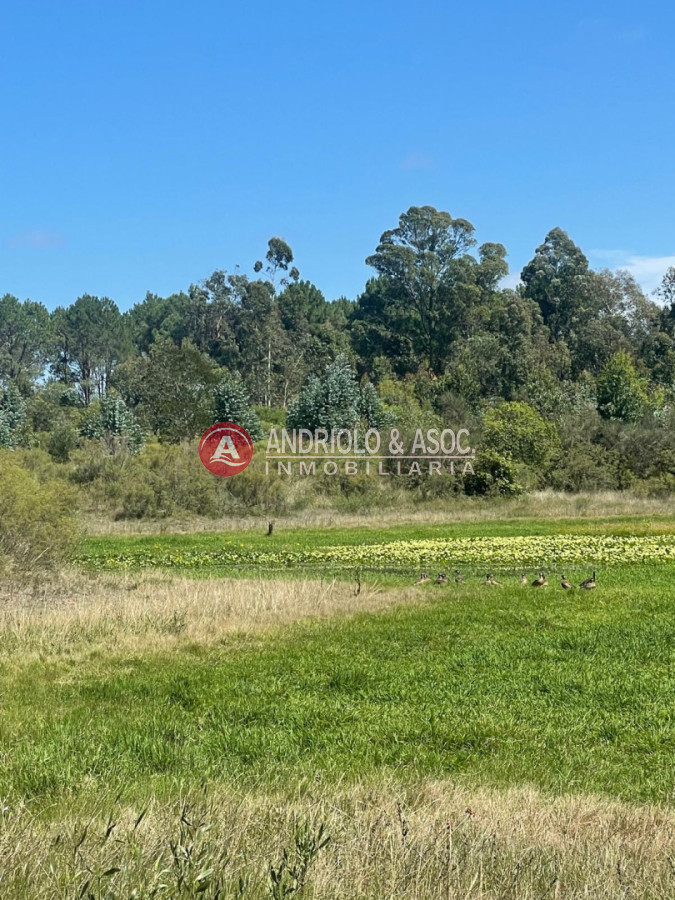 Terreno ID.10527 - Terreno en Edén Rock