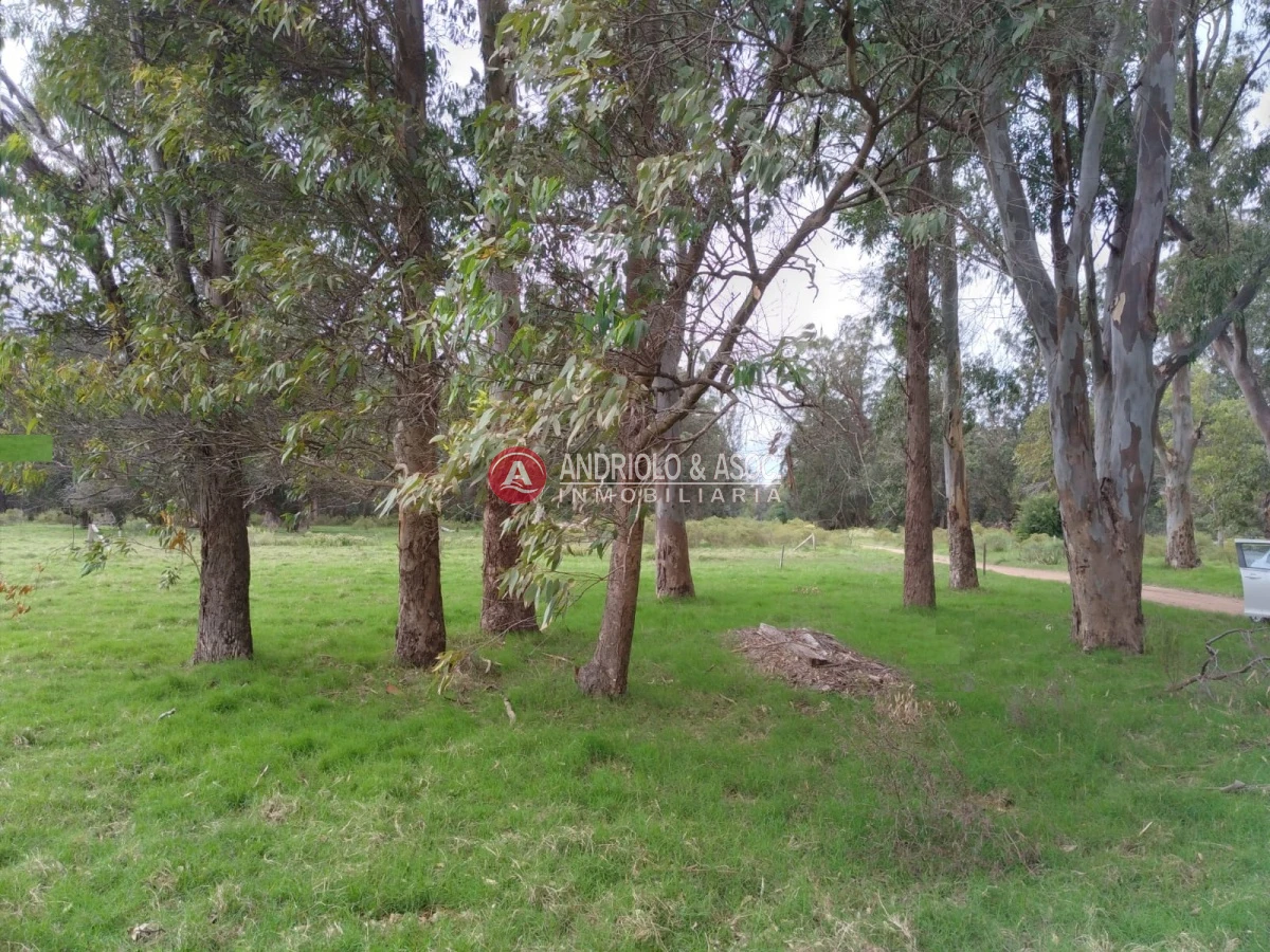 Terreno ID.6521 - oportunidad en polo club country de ruta 10 kilómetro 172